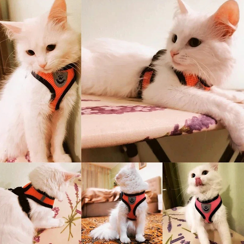 Breathable Mesh Pet Harness & Leash Set Adjustable Polyester Vest Harness with Collar Suitable for Cats Puppies Small Medium Dog