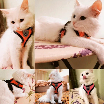 Breathable Mesh Pet Harness & Leash Set Adjustable Polyester Vest Harness with Collar Suitable for Cats Puppies Small Medium Dog