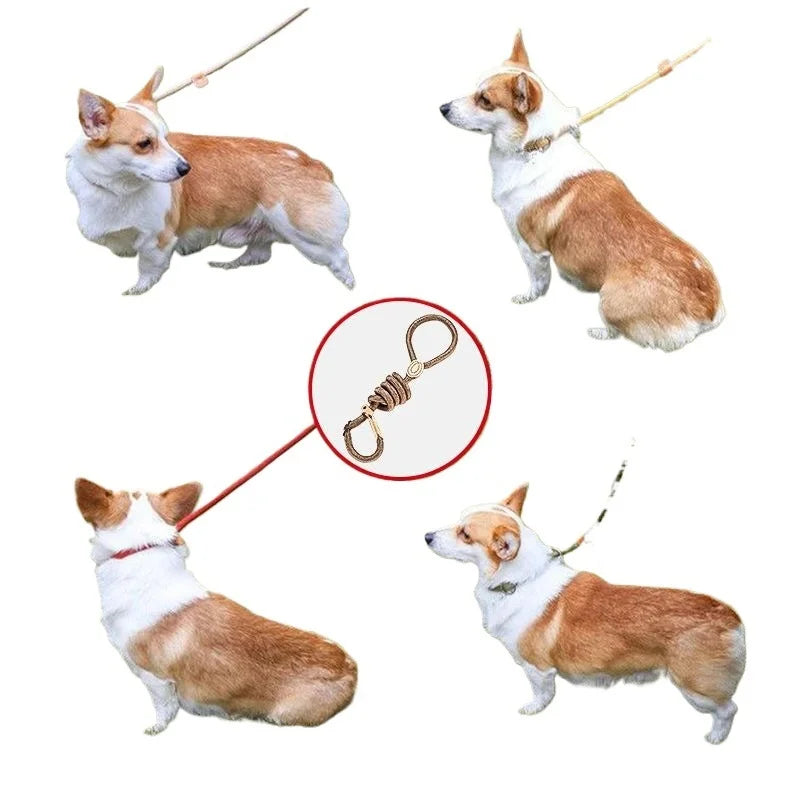 Adjustable Collar Harness Dog Leash Nylon Pet Lead Leash Dog Harness Durable Rope Belt Lightweight Dog Accessories Cat Collar