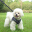 Small Dog Harness Leash Set Cute Traction Bracelet Medium Cat Collar Suit Soft Puppy Vest Harness Adjustable Pet Accessories