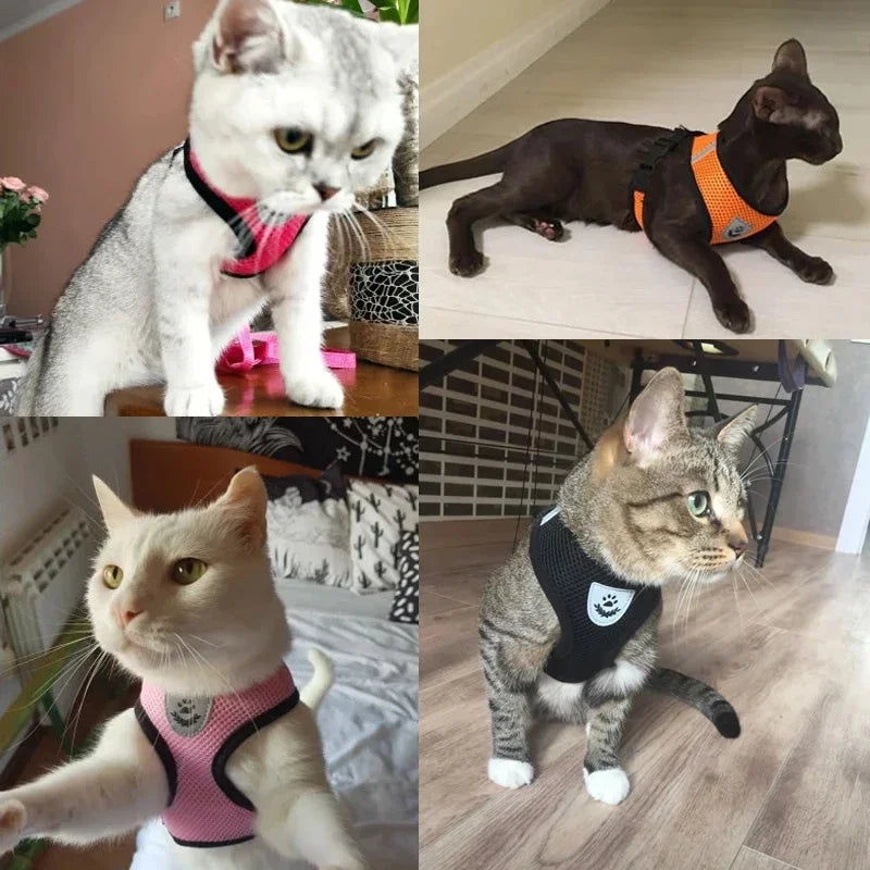 Breathable Mesh Pet Harness & Leash Set Adjustable Polyester Vest Harness with Collar Suitable for Cats Puppies Small Medium Dog