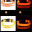 Nylon LED Night Safety Flashing Glow In The Dark Dog Leash Dogs Luminous Fluorescent Pet Dog Collar