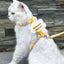 Cat Harness Leash Collar Set Adjustable Cartoon Bee Double Layer Dog Harness for Small Medium Pet Collar Leash Outdoor Walking