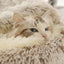 Winter Plush Round Cat Bed Pet Mattress Warm Soft Comfortable Basket Cat Dog 2 in 1 Sleeping Bag Nest for Small Dogs