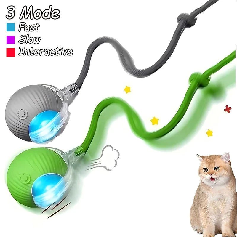 Cat Interactive Ball Toys Automatic Rolling Ball Faux Tail Rechargeable Smart Pet Electric Toy Dog Cat Training Imitate Mouse