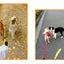 Dog Leash Double Leashes for Dogs Walking Detachable Dog Chains Two Dogs Double Leashes Walker Pet Supplies Accessories Pet Belt