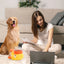 Automatic Pet Feeder - Cartoon Duck Design Dog Food Dispenser, Snack Trainer, Smart Portion Control Feeder for Cats & Dogs