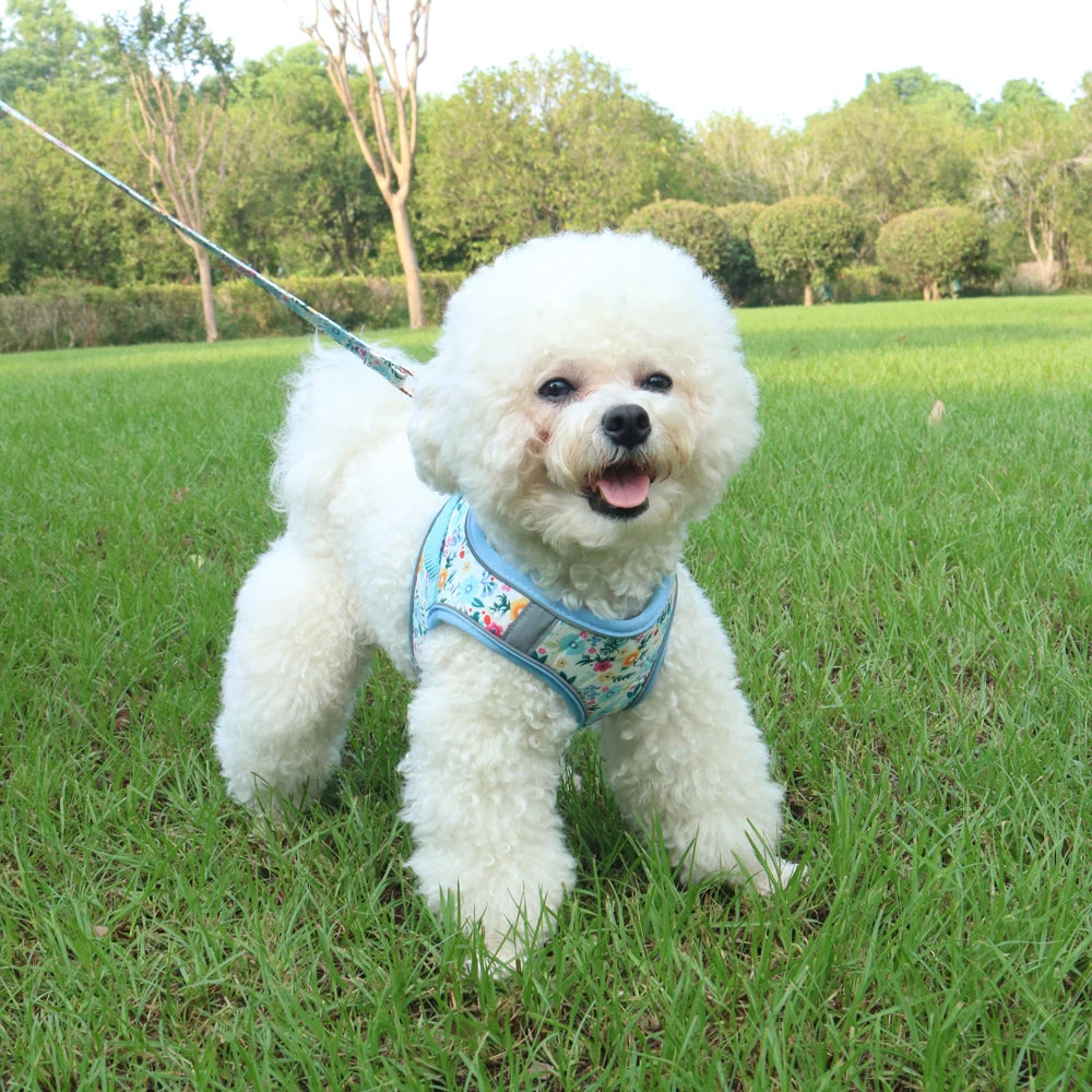 Small Dog Harness Leash Set Cute Traction Bracelet Medium Cat Collar Suit Soft Puppy Vest Harness Adjustable Pet Accessories