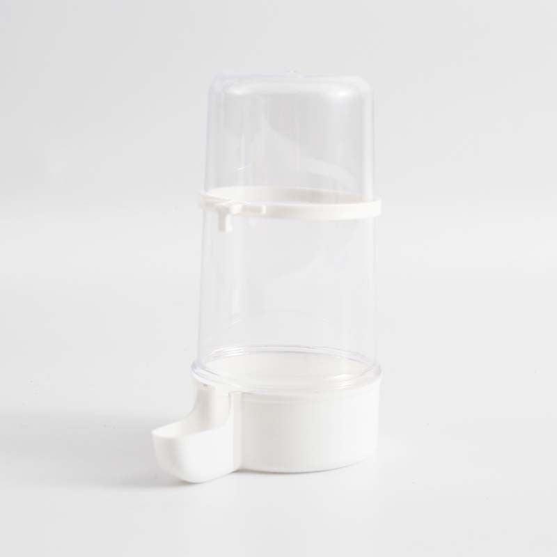 Delicious Delights Edible Bird Water Pipe
