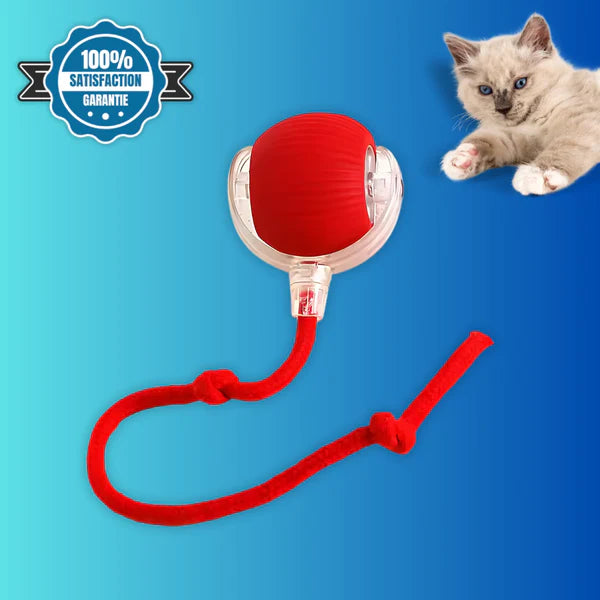 Red cat toy with a kitten on a blue background
